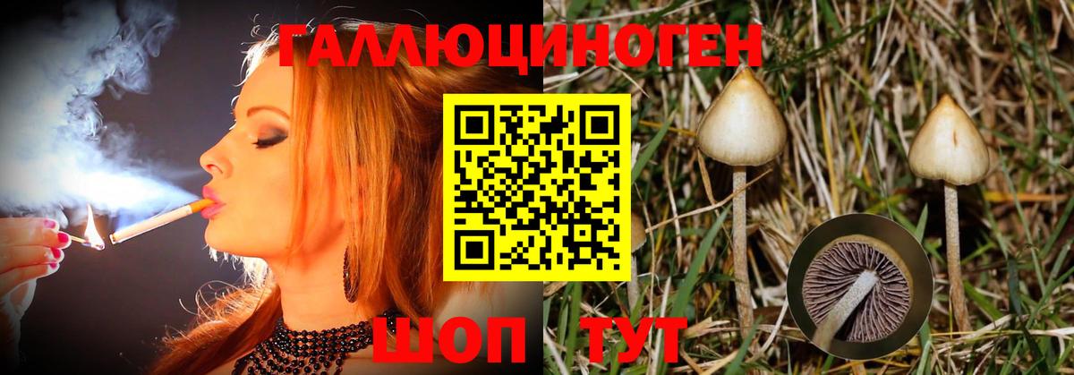 Сосновоборск  Псилоцибиновые грибы Psilocybe  Вход с VPN  Галлюциногенные грибы Magic Shrooms 
